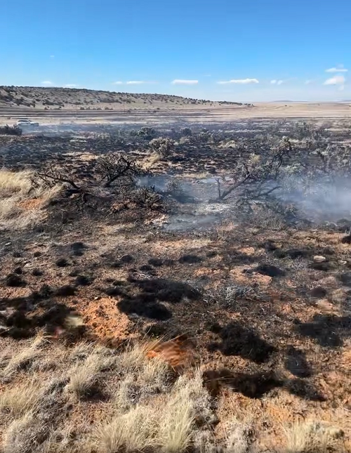 Wilderness area burned by wildfire near Seligman