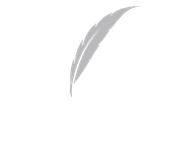 Gray feather quill on a white background.