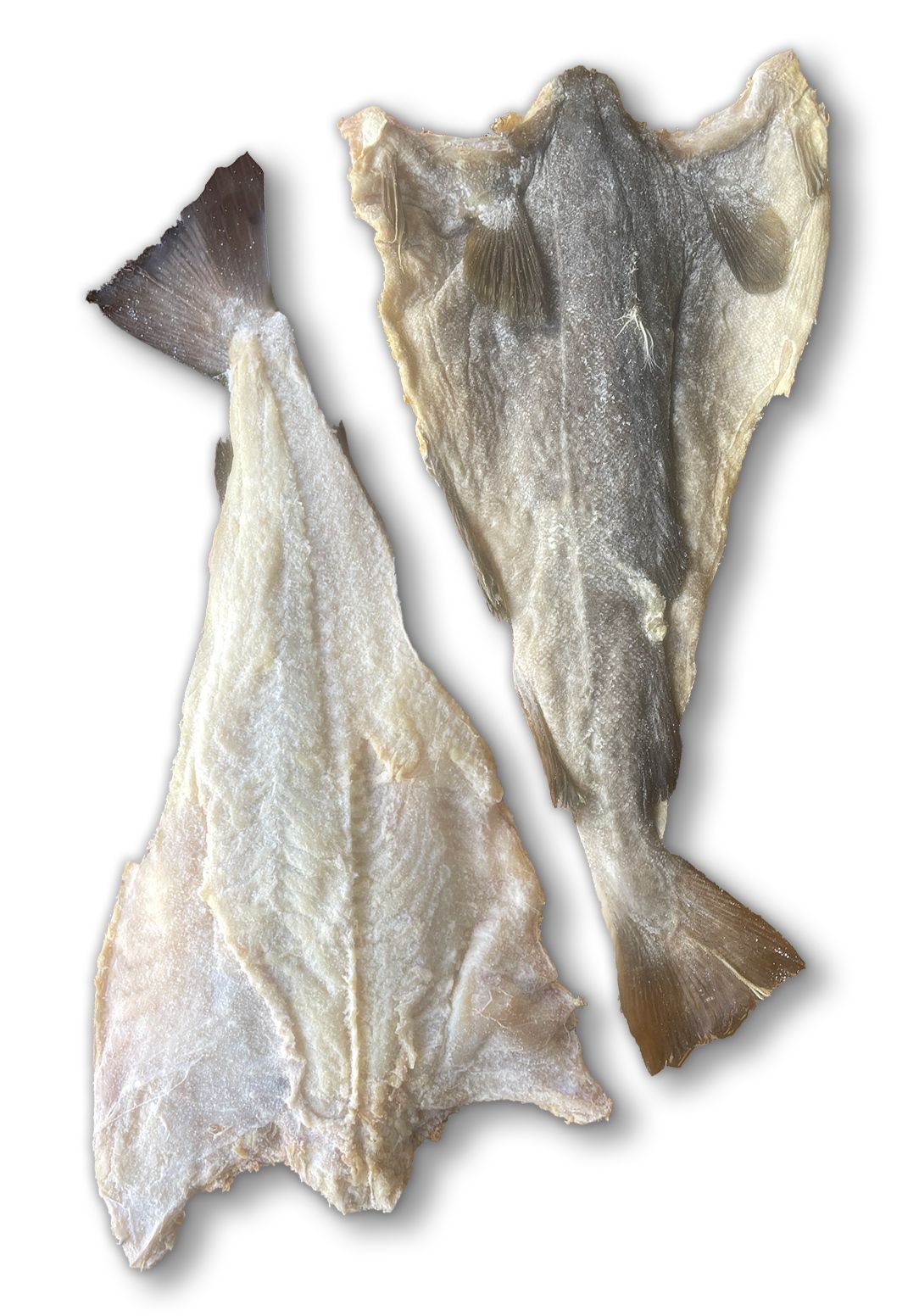 Codfish Box — Casa Portugal In South Hurstville, NSW