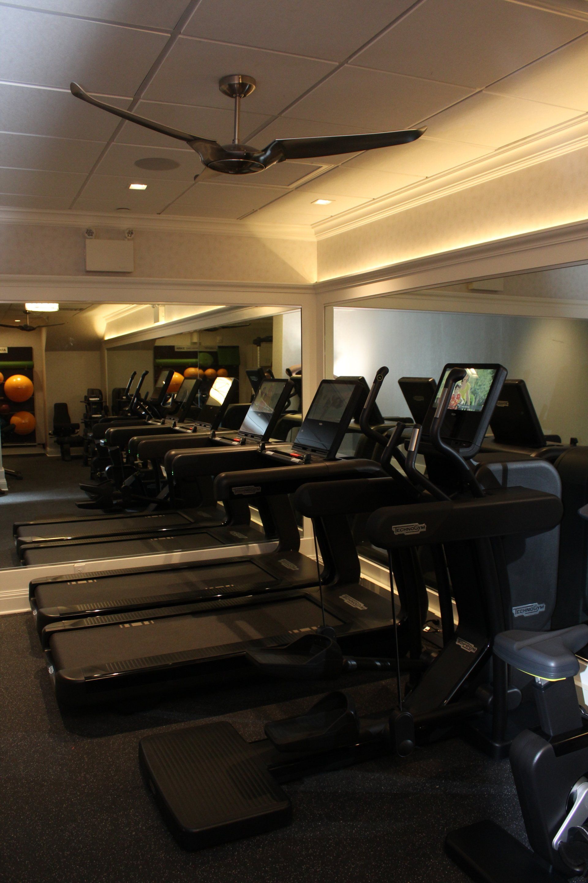 Row of treadmills in The Reeds at Shelter Haven fitness room with mirrored walls