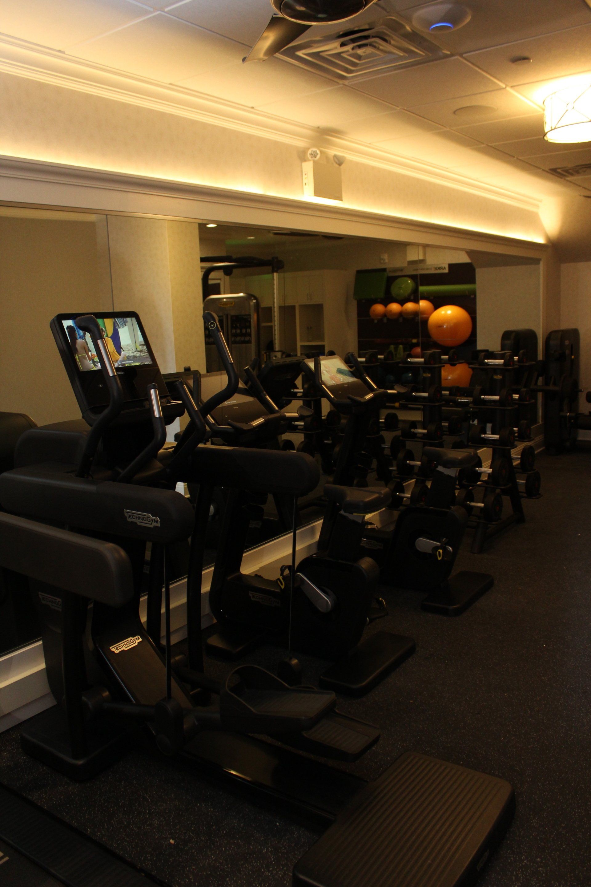 Cardio equipment and exercise balls inside The Reeds at Shelter Haven fitness center