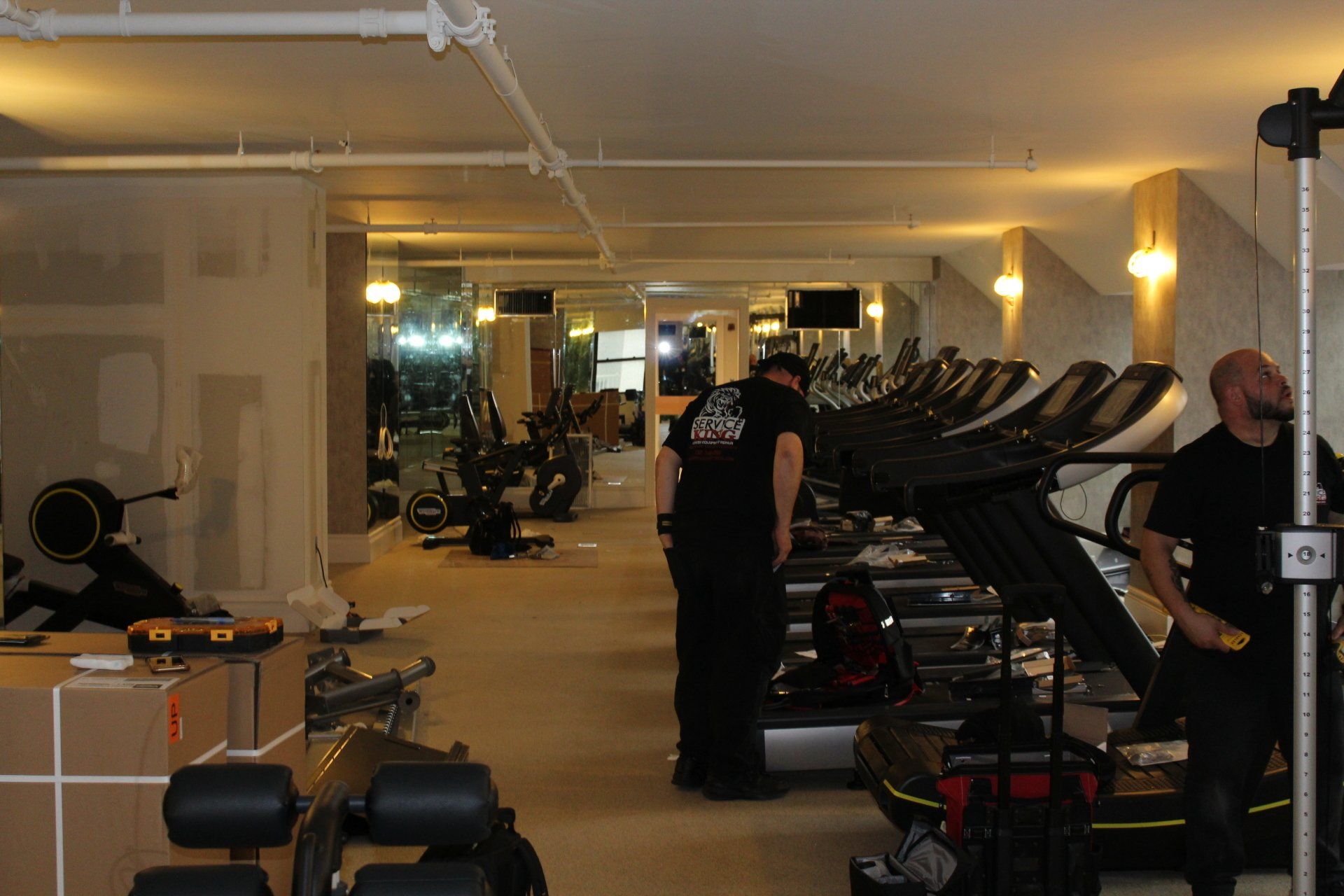 Guests using treadmills inside Lotte New York Palace gym with mirrored walls and ceiling lights.