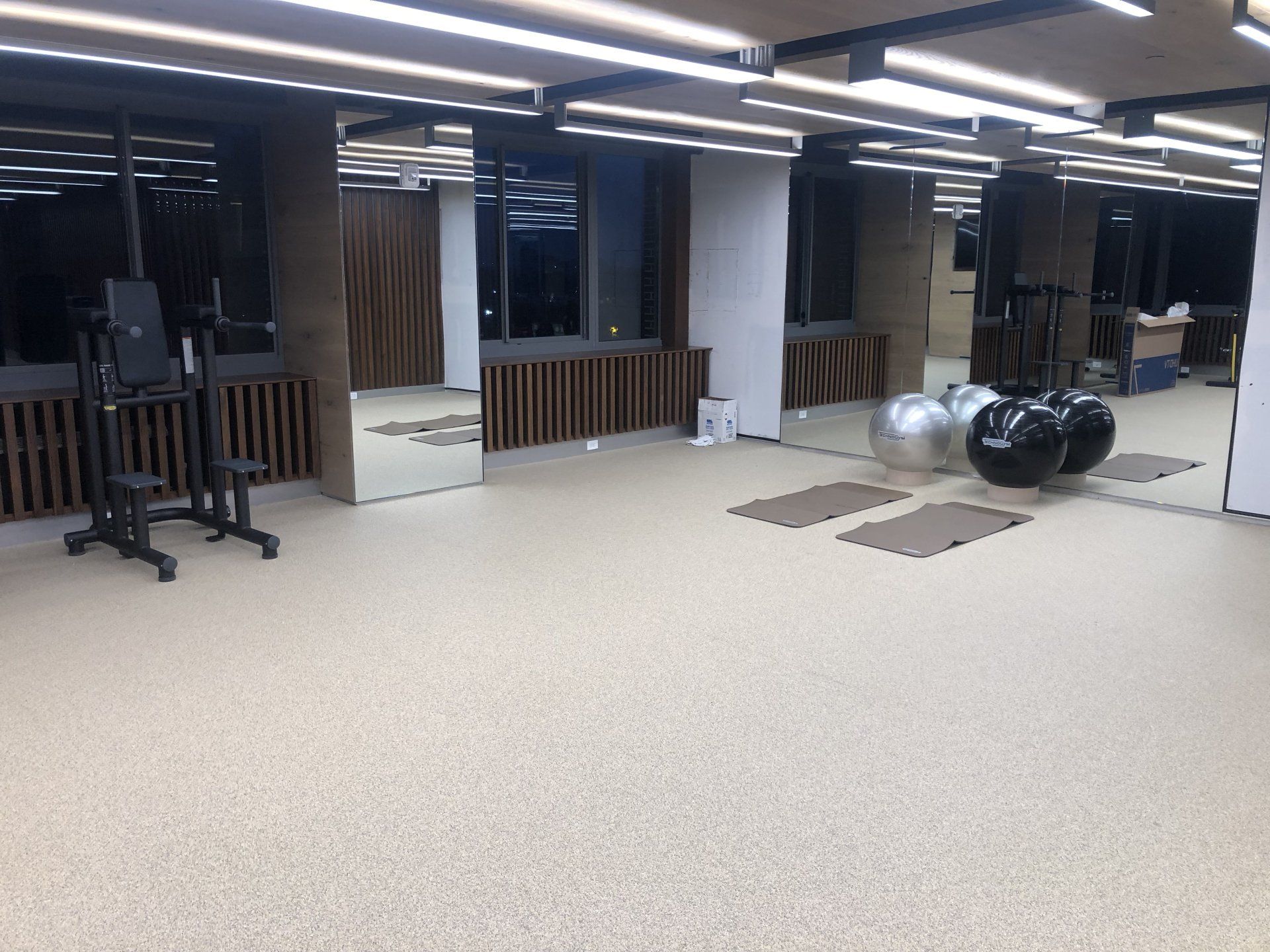 Fitness area at Iron State with yoga mats, mirrors, and strength equipment in a bright studio.