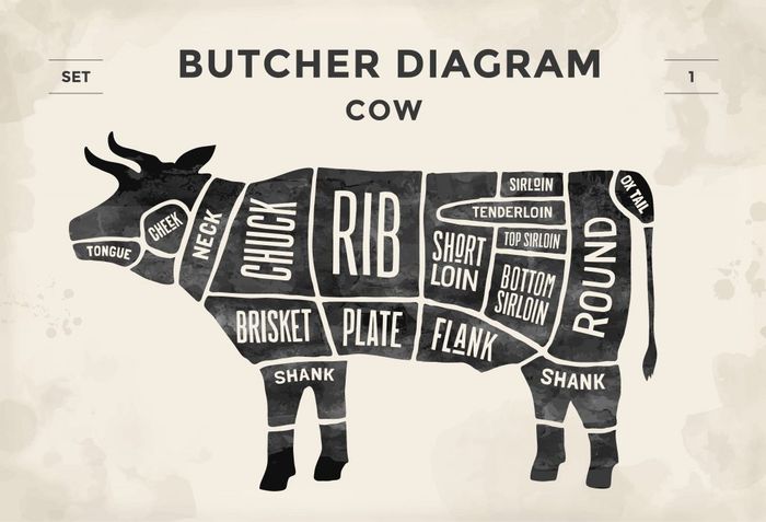 Butcher Diagram Cow