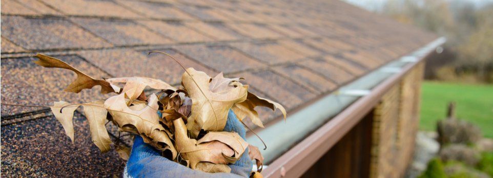 Pulitore Grondaie Telescopico 2.5m - Spazzola Allungabile Per Pulizia Sicura Da Terra - Foto 11