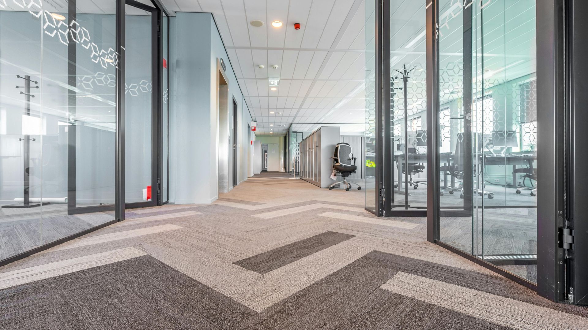 Office hallway with patterned carpet, glass walls, and open doorways.