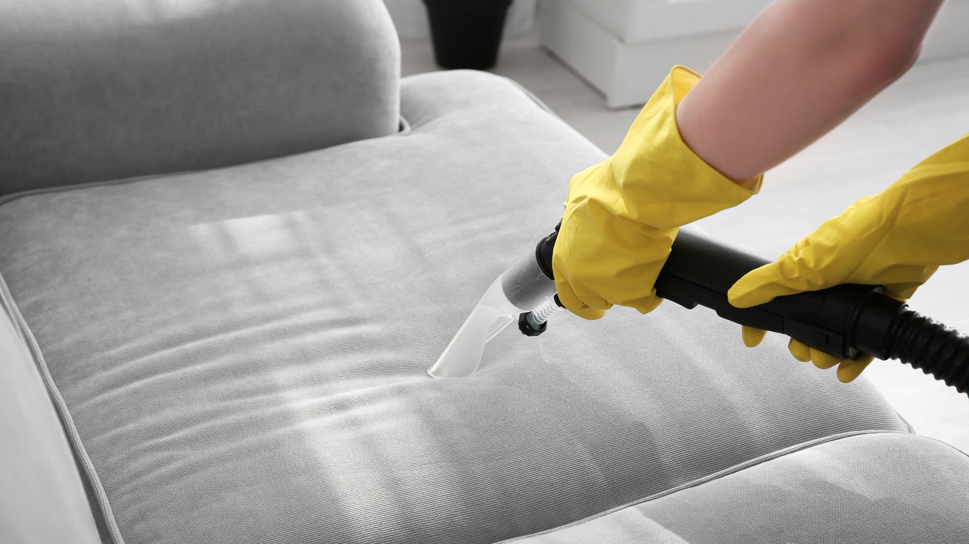 Person in yellow gloves cleaning a gray sofa with a black vacuum cleaner.