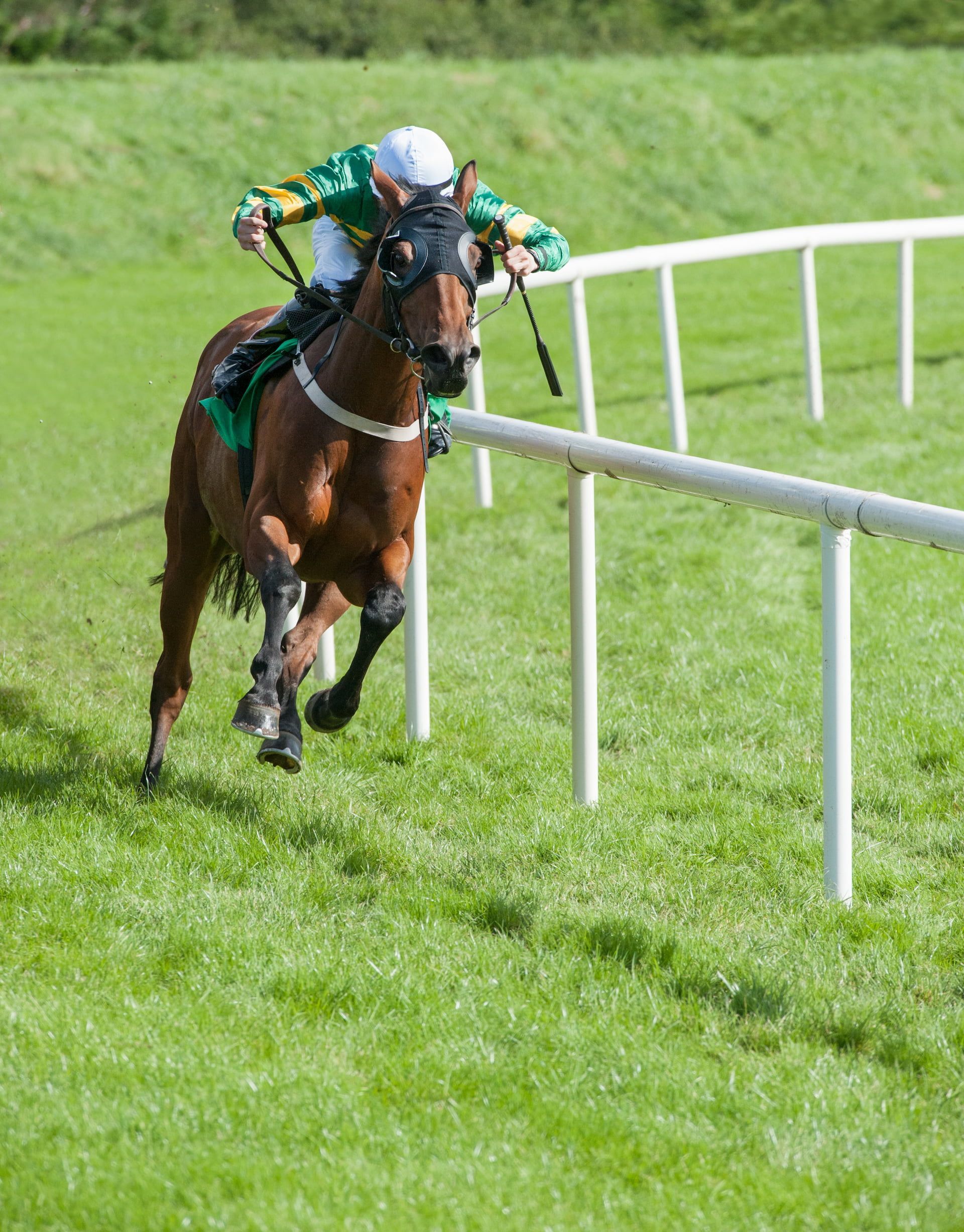 Jockey on a brown horse racing along a grassy track, approaching a white fence.
