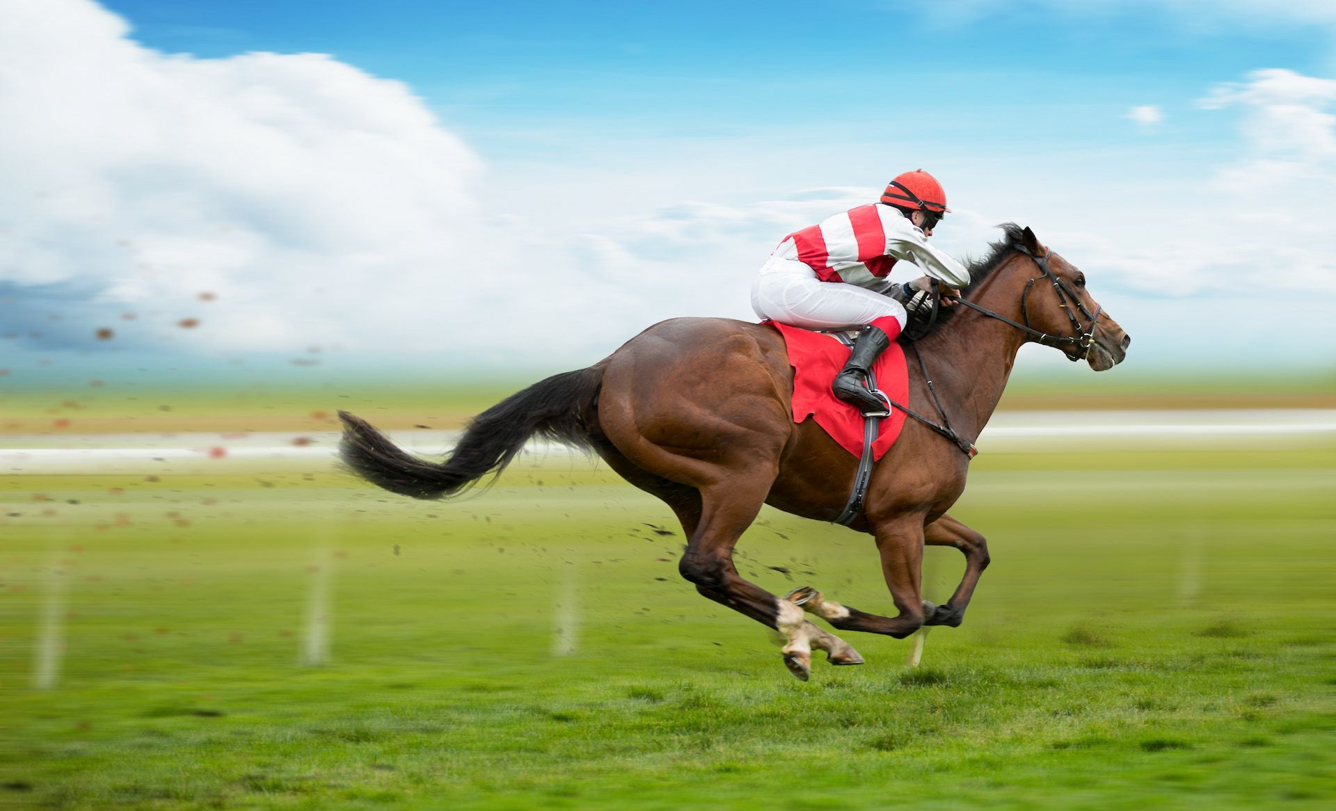 Racehorse with jockey in red and white racing down green track.