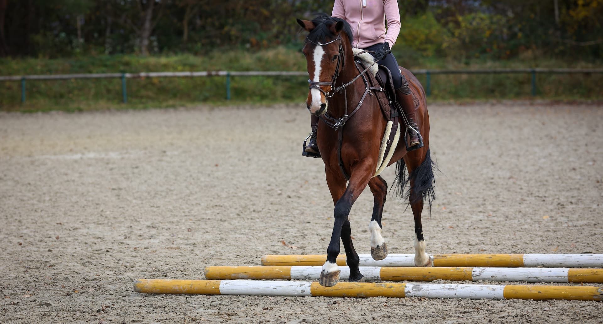 A person on a brown horse, riding over ground poles in an arena.