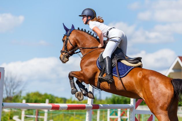 Woman on a brown horse jumping over a white and red fence under a blue sky.