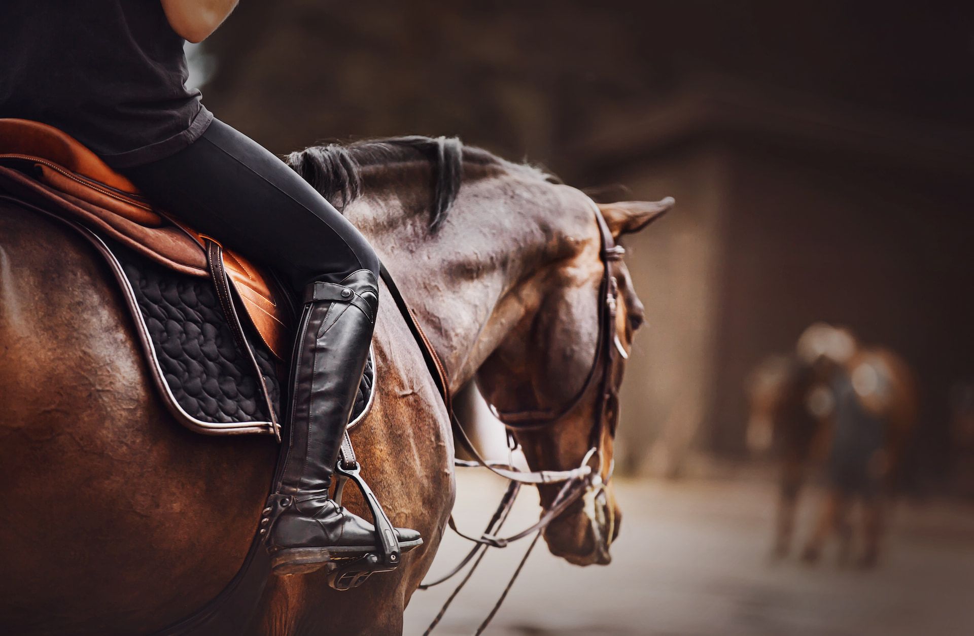 Person riding a brown horse in an indoor stable. The rider wears black boots and breeches.