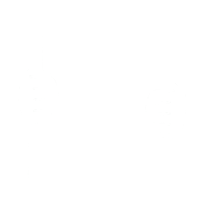 Bail Bondsman