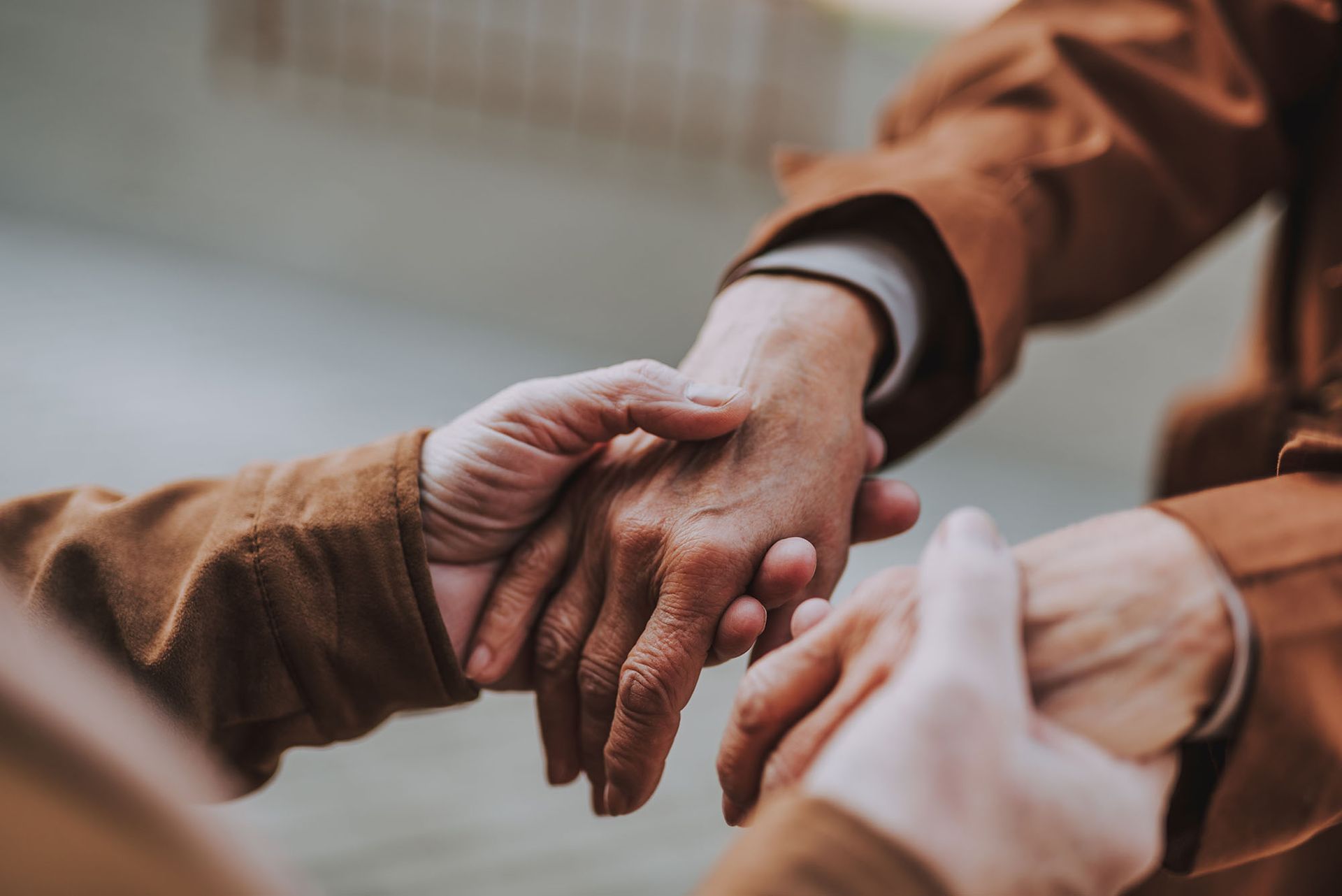 Volontaria giurisdizione