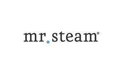 The mr. steam logo is on a white background.