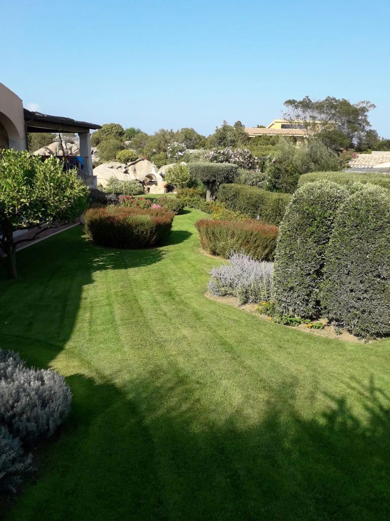 Aiuole fiorite in giardino