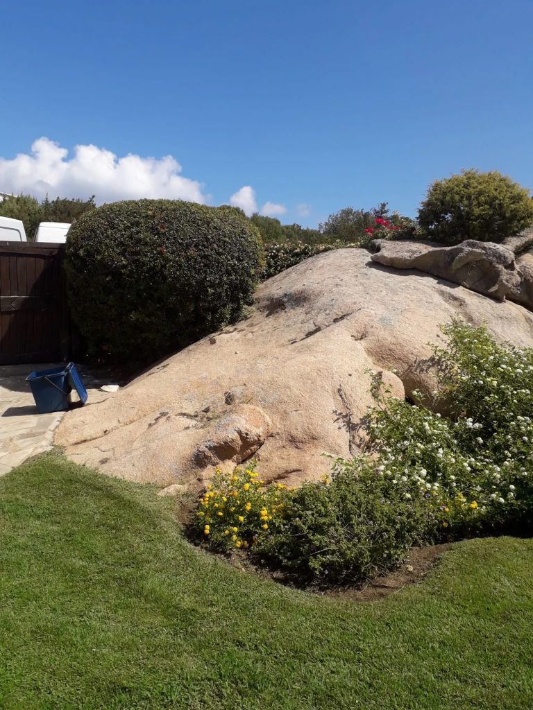 Collinetta in giardino