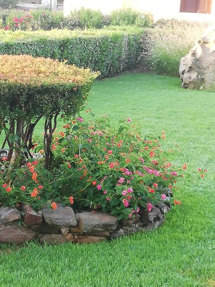 Tavolo Da Giardino Estensibile In Composito Effetto Legno E Alluminio Grigio Antracite Per 8 12 Persone 238019