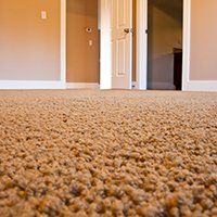 Carpet flooring for domestic and commercial clients