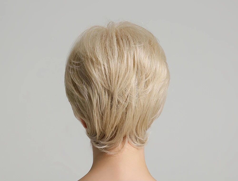 Hollywood Wigs rear | WEAR MULTHAIR