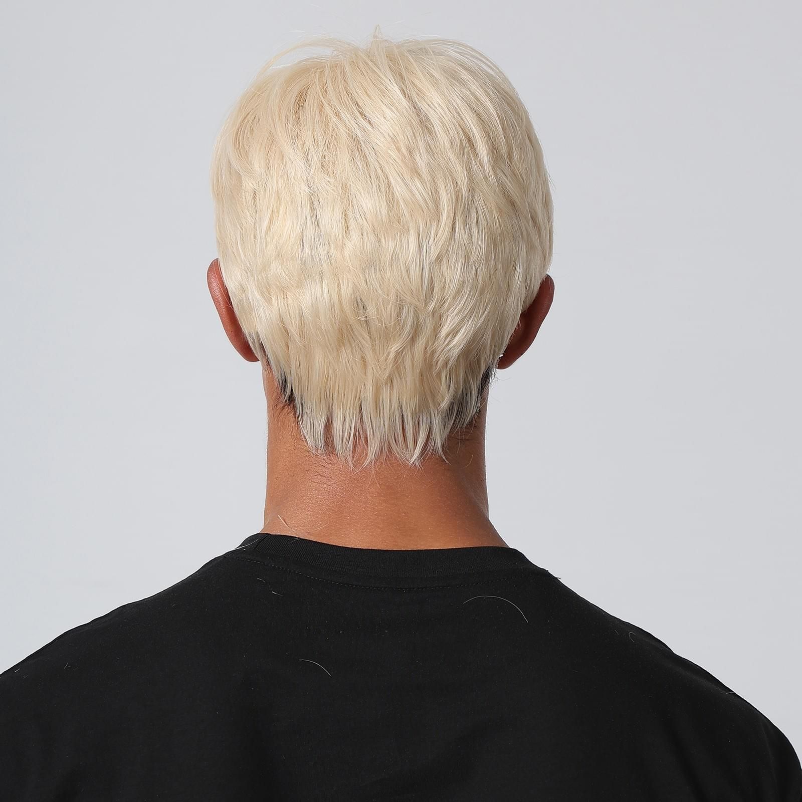 Harry Men Wig rear | WEAR MULTHAIR