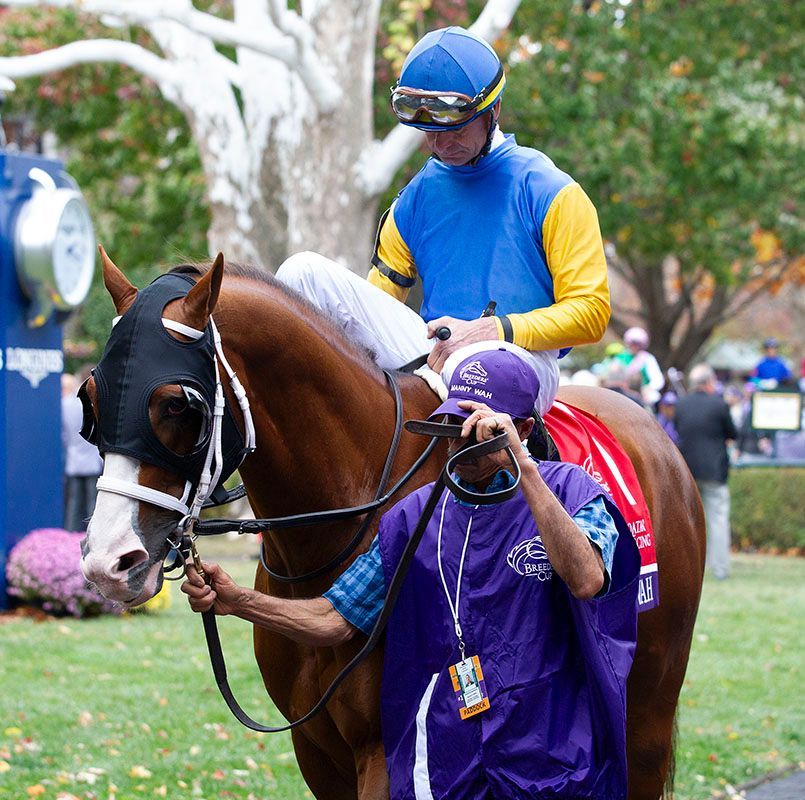 Grade 2-Winning Millionaire Manny Wah Joins Irish Hill & Dutchess Views for 2026