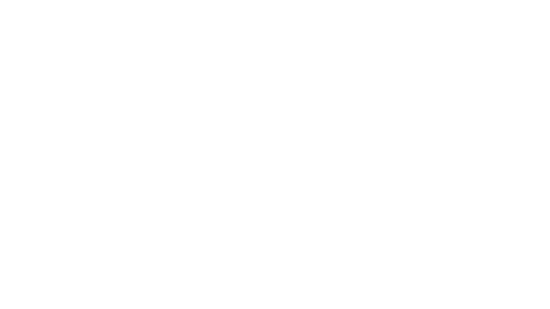 Bruce Borders logo