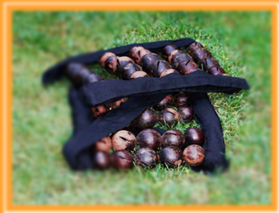 A bunch of chestnuts in a black bag on the grass