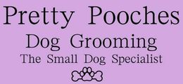 Dog Grooming In Rural View