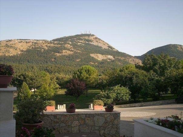 Vista sulle montagne con alberi verdi e piante in vaso in primo piano.