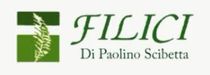 Logo per Filici Di Paolino Scibetta, caratterizzato da testo verde e un quadrato verde con un'immagine vegetale.