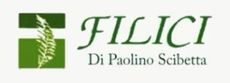 Logo per Filici Di Paolino Scibetta, caratterizzato da testo verde e un quadrato verde con un'immagine vegetale.