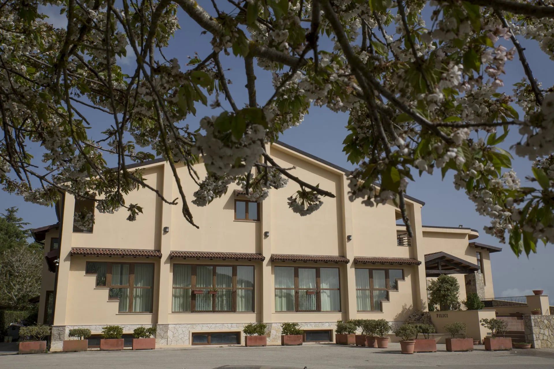 Edificio beige con numerose finestre, parzialmente nascoste dai rami degli alberi in fiore.