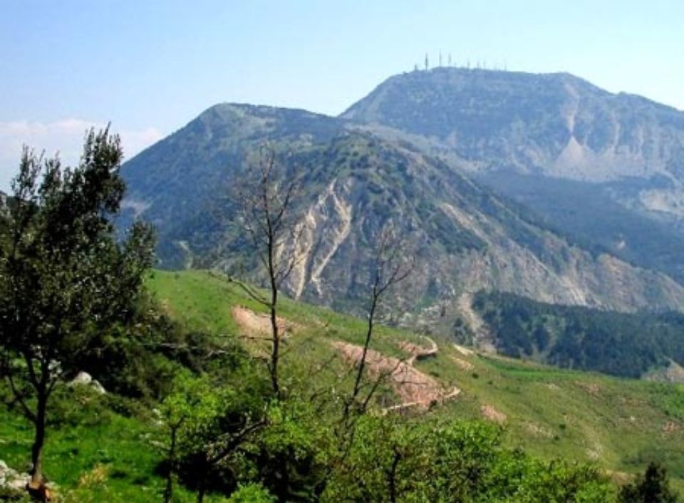 Pendii verdi con alberi spogli che conducono alle montagne sotto un cielo azzurro.