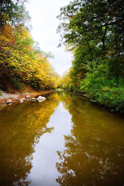 Autumn forest stream reflecting green and gold trees under a cloudy sky