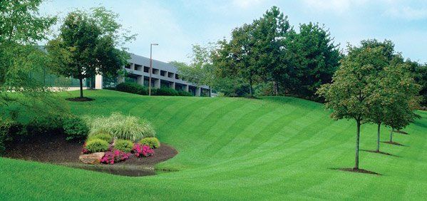 Riverview, FL Lawn Care Service - Lawn Mowing from $19 - Rated Best 2021