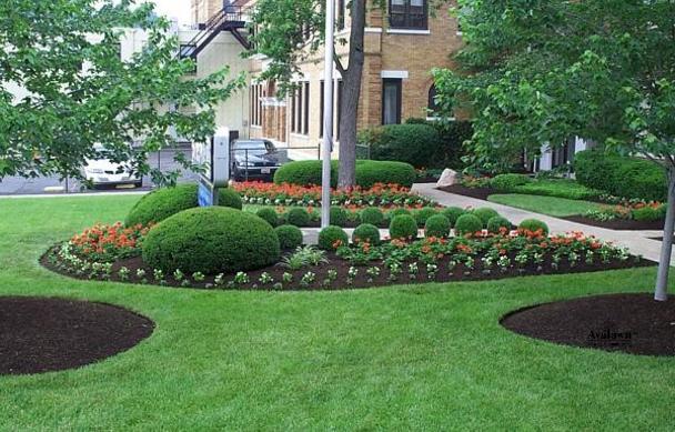 5 Must Do Landscaping Tips