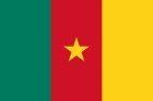 The flag of Cameroon: vertical stripes of green, red, and yellow with a central gold star on the red stripe.