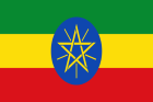 The flag of Ethiopia: a horizontal tricolor of green, yellow, and red with a blue disc containing a yellow star emblem.