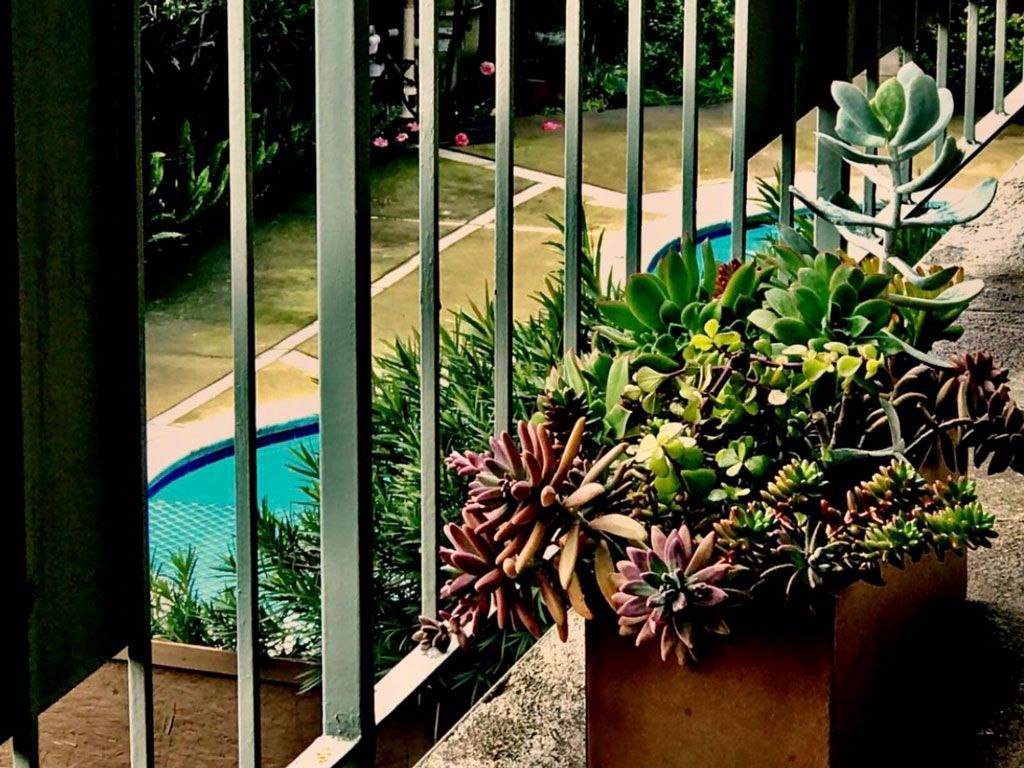 Century Plaza Apartments Photo Gallery