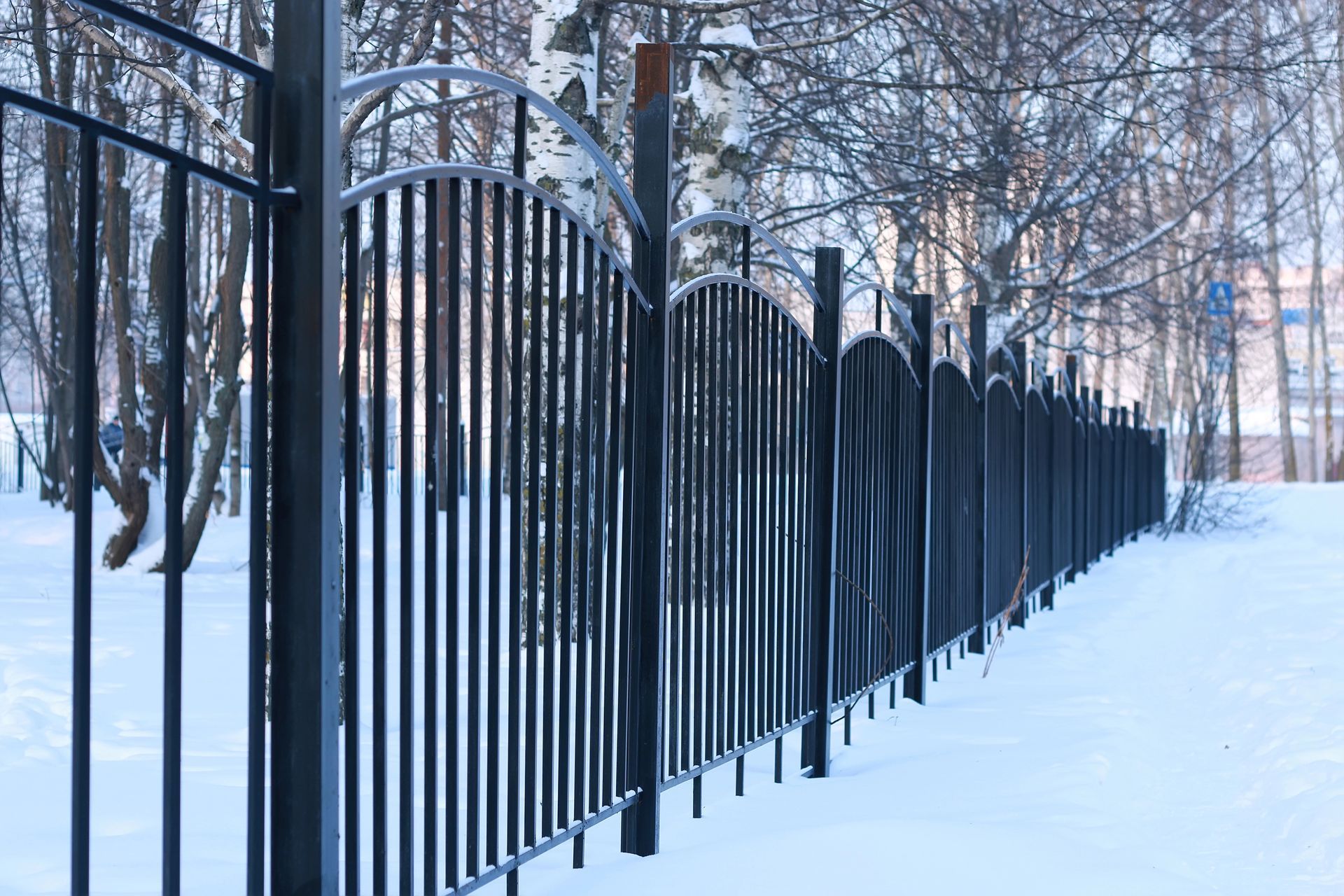 iron fence in the snow