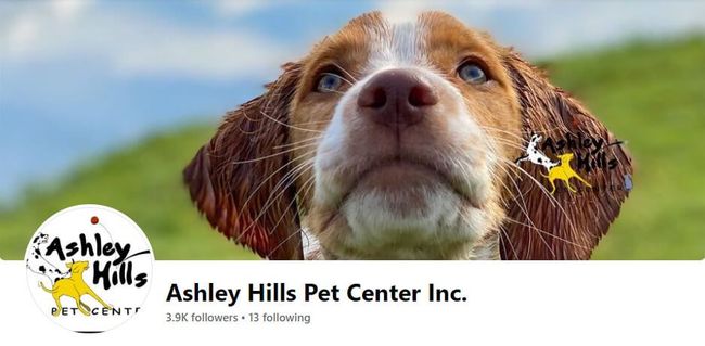 Ashley Hills Pet Center Page