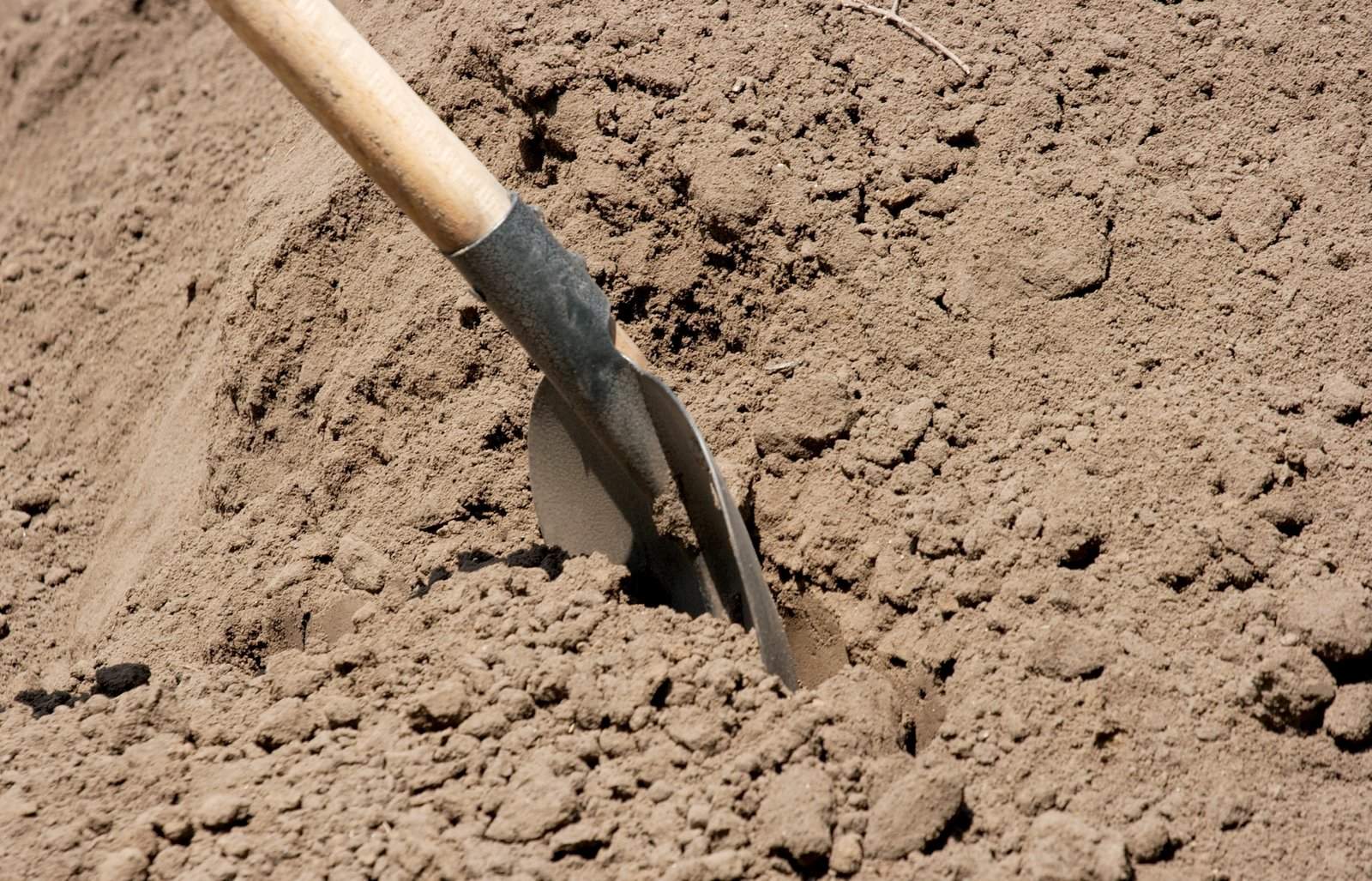 spade in the soil
