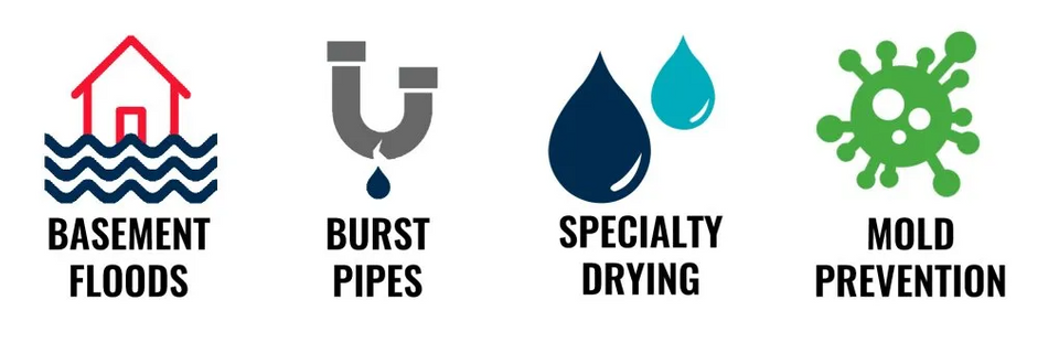 A picture of a basement floods , burst pipes , specialty drying , and mold prevention.