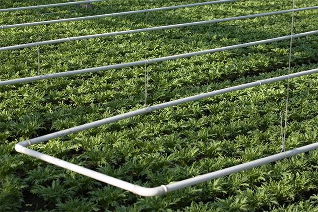 SISTEMAS DE RIEGO Y EQUIPO DE BOMBEO LA POCHOTA