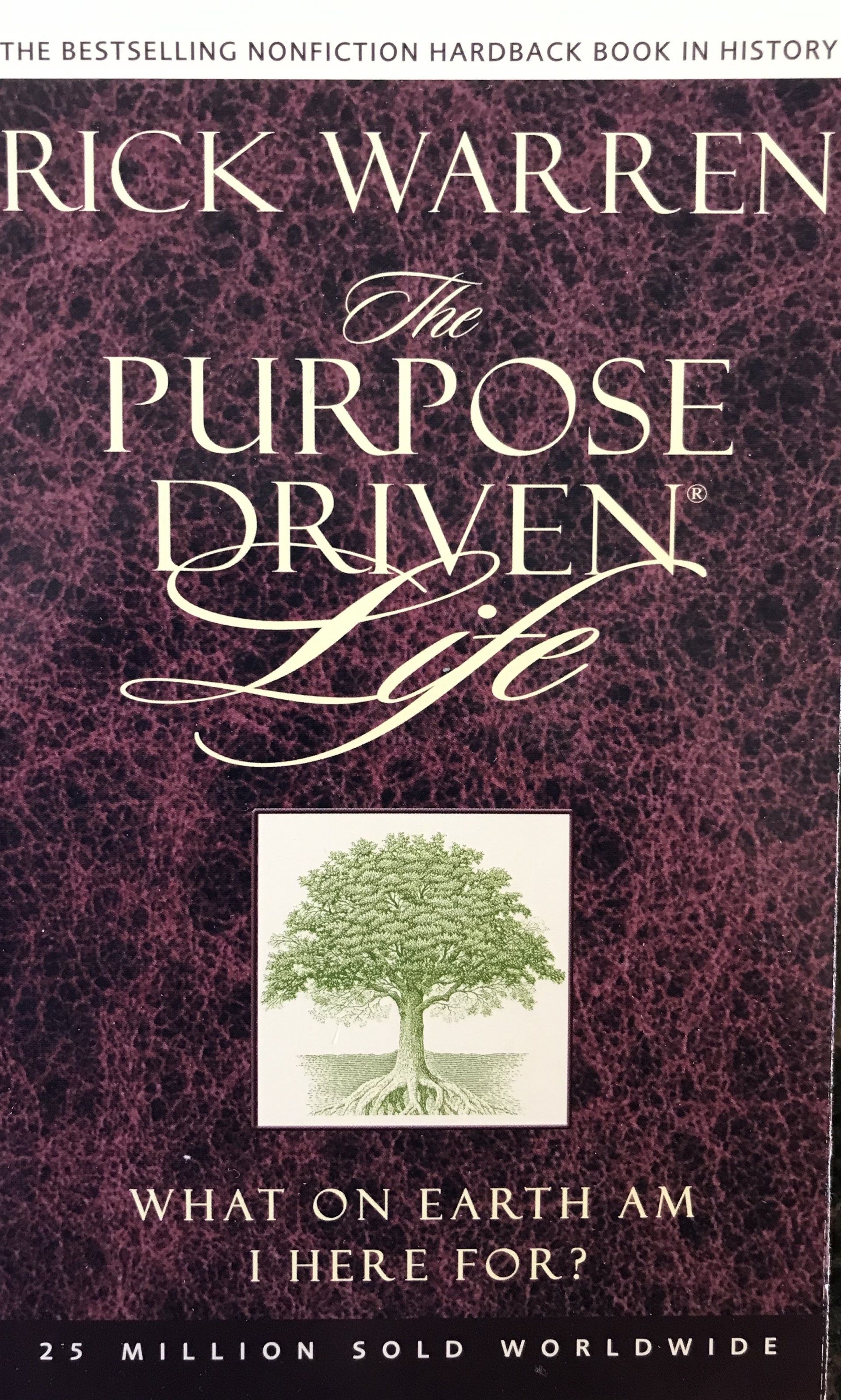 Mentor the kid and the ceo book by tom pace