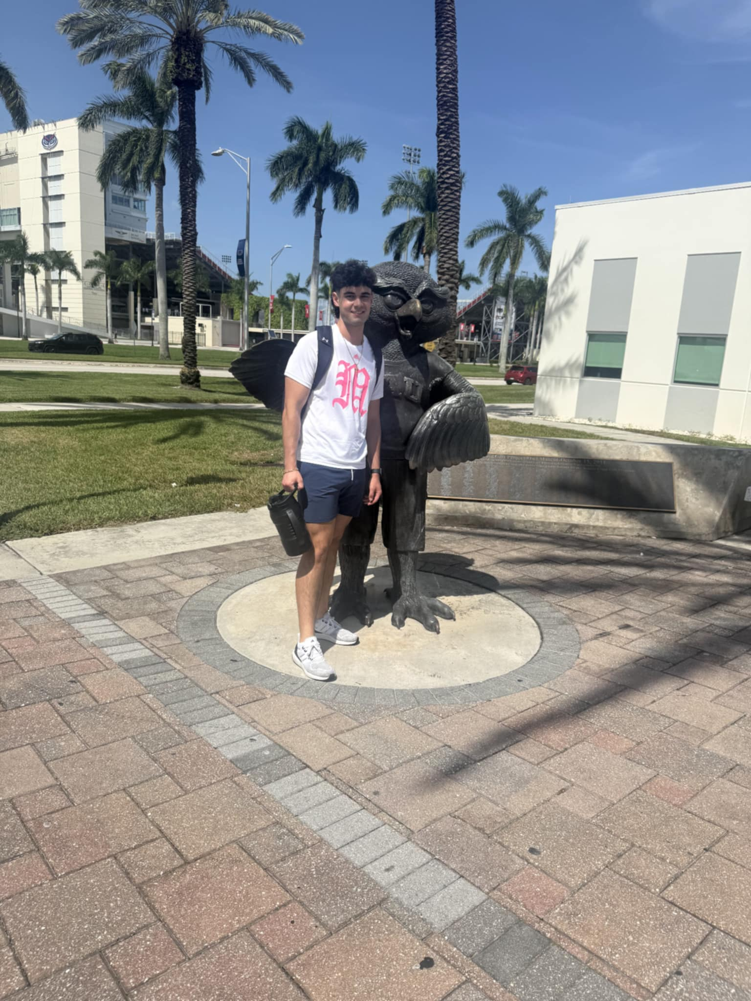 Young man stands by owl statue, wearing white t-shirt and shorts outdoors near buildings and palm trees on sunny day.