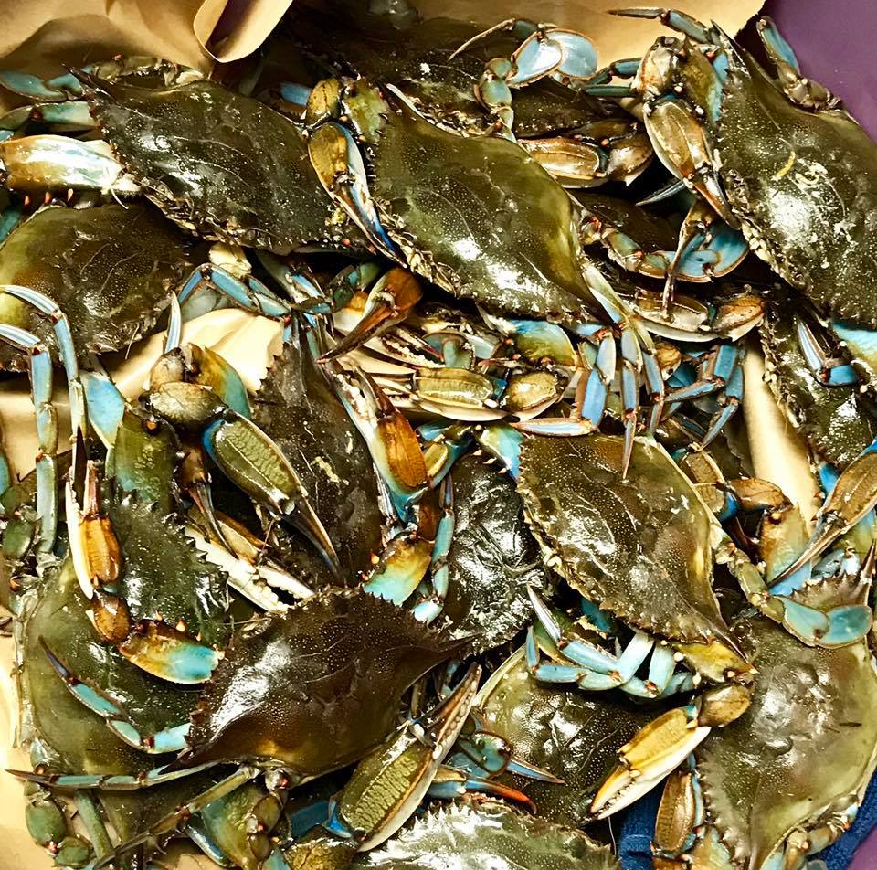 A pile of blue crabs on a purple surface