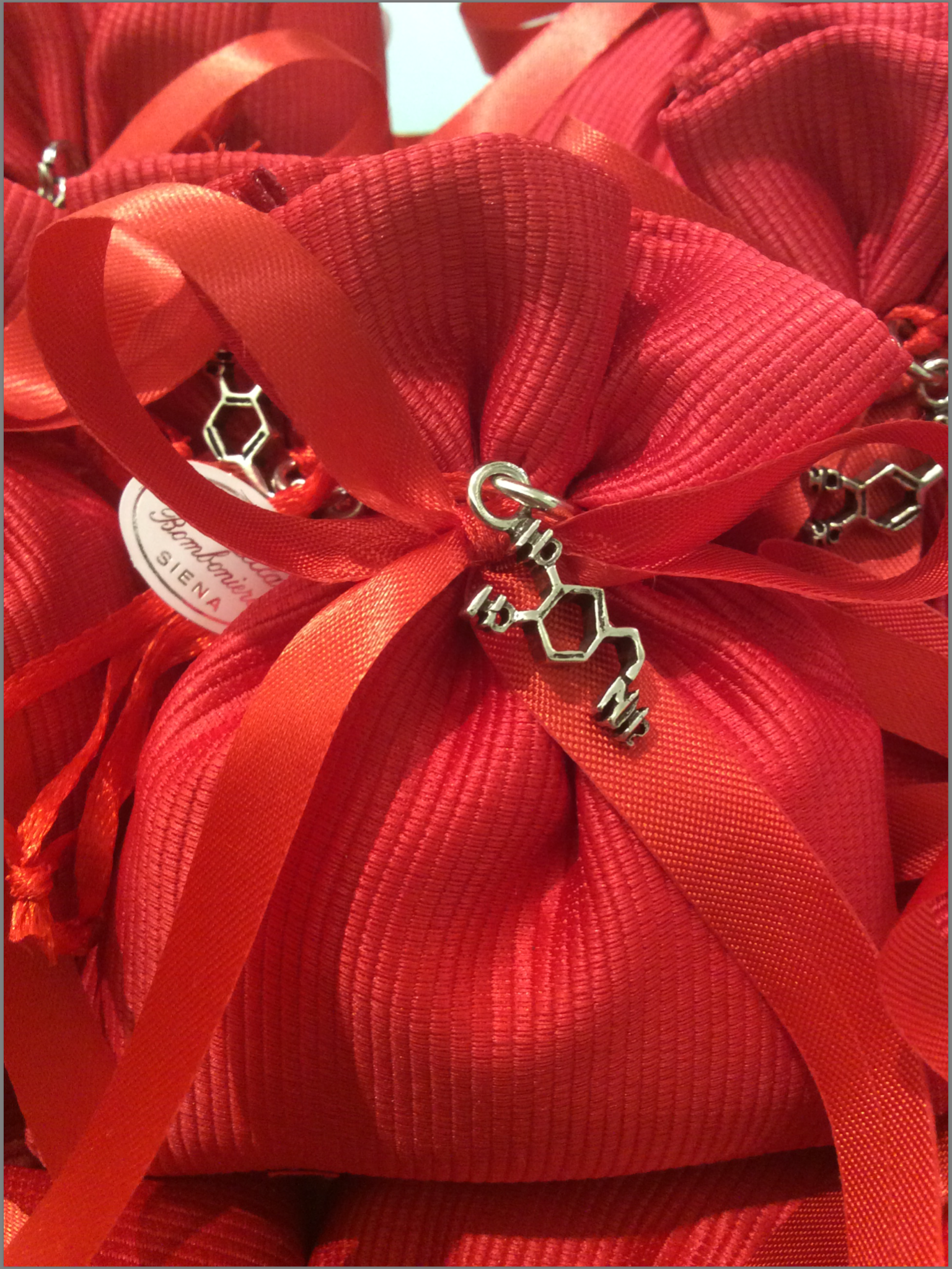 sacchettini per festa di laurea