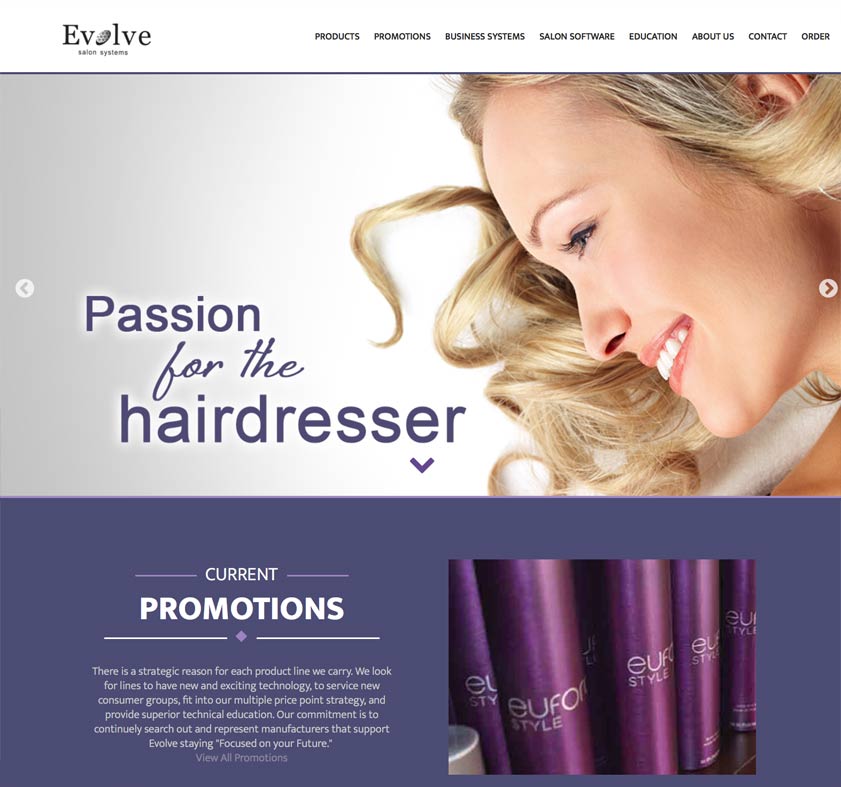 hair salon systems web design